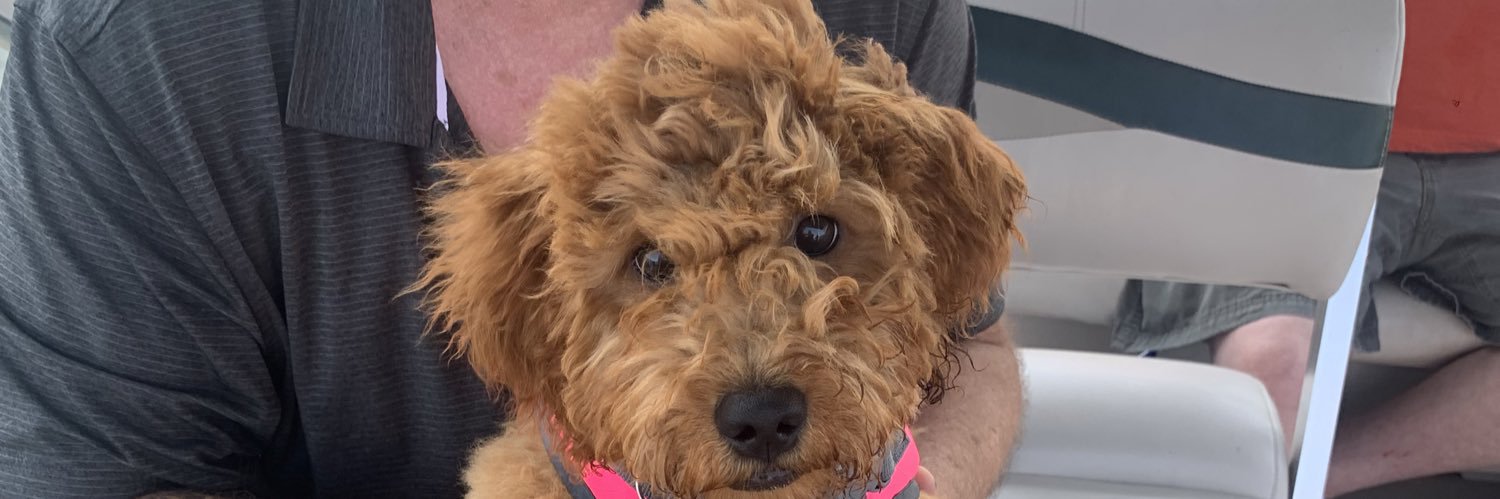 cambrie_wraight's profile banner image