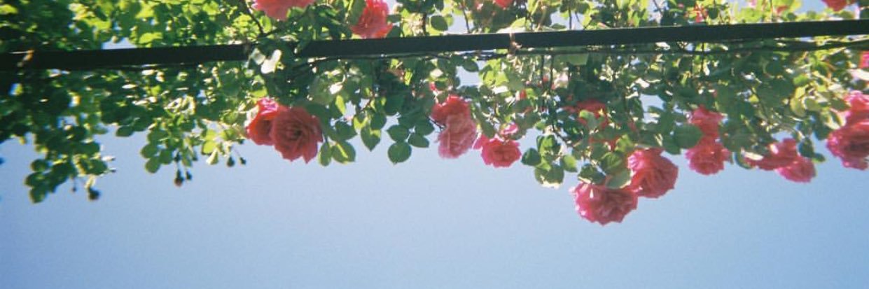 YAMAC's banner