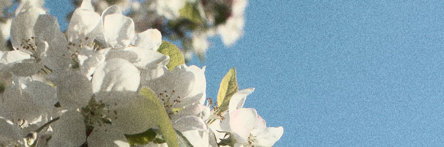 Mason Armes 📸 banner