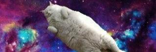 mayac123's profile banner image