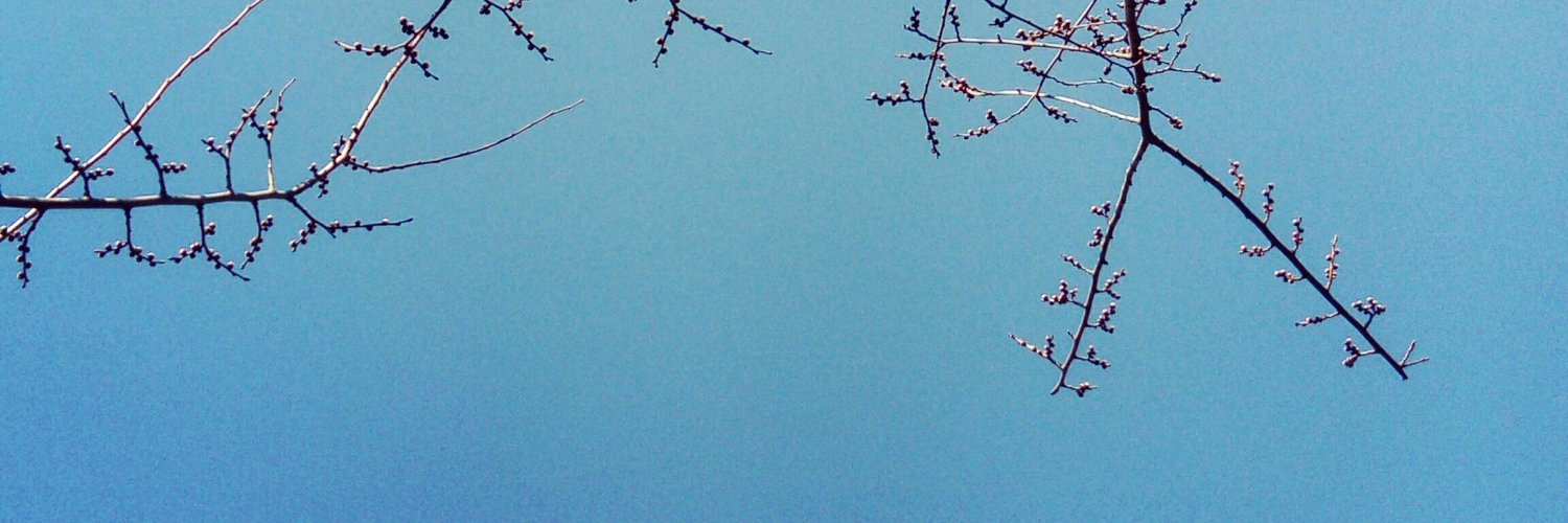 SylasRoy's profile banner image