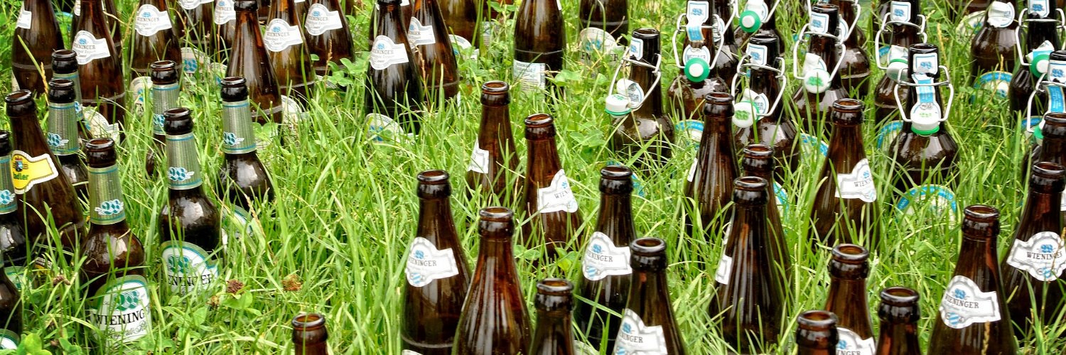 La Barra de Birra banner