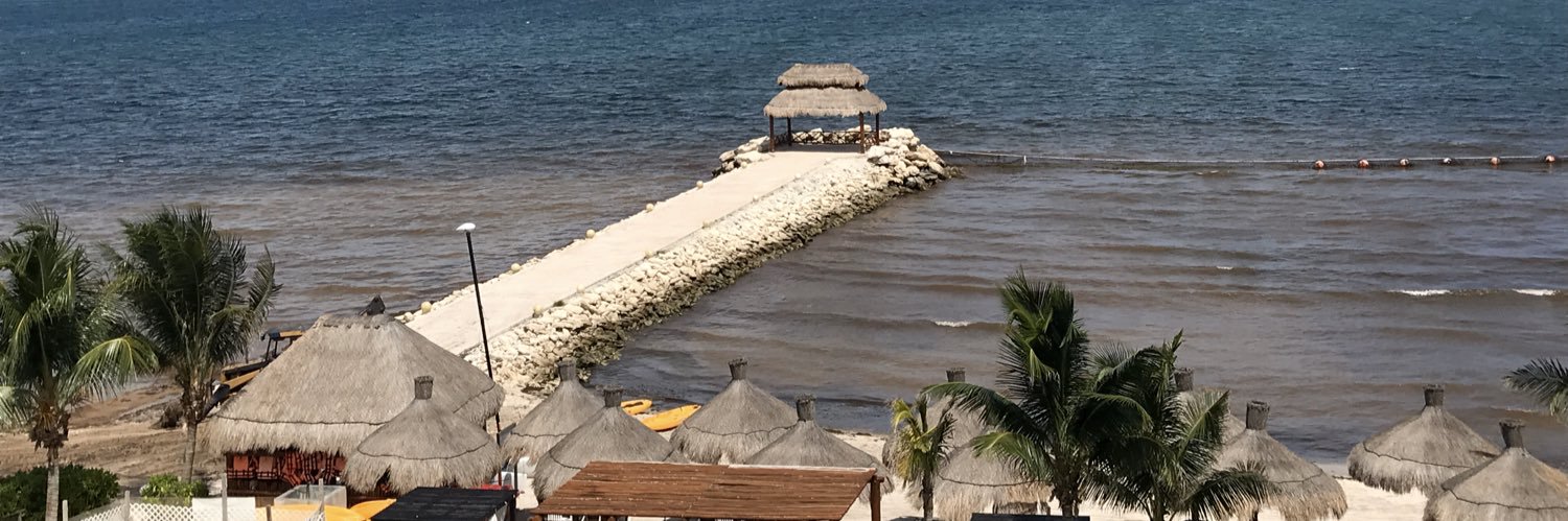 Tom O'Donnell banner