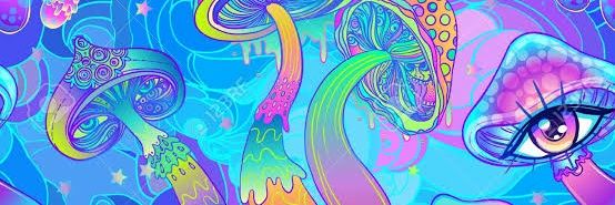 SeanKuschke's profile banner image