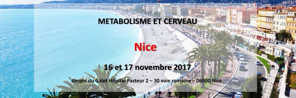 NICEANARLF2017 Profile Banner
