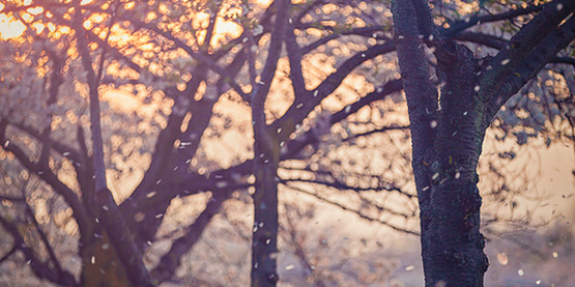 Mimmzy_'s profile banner image