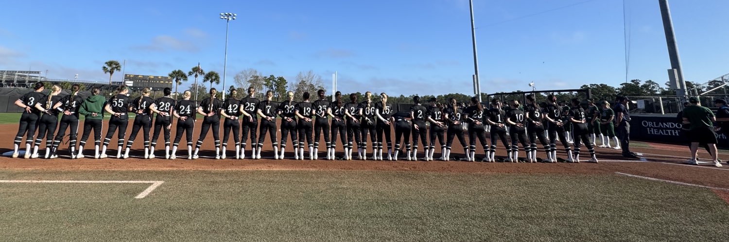 Wagner Softball banner