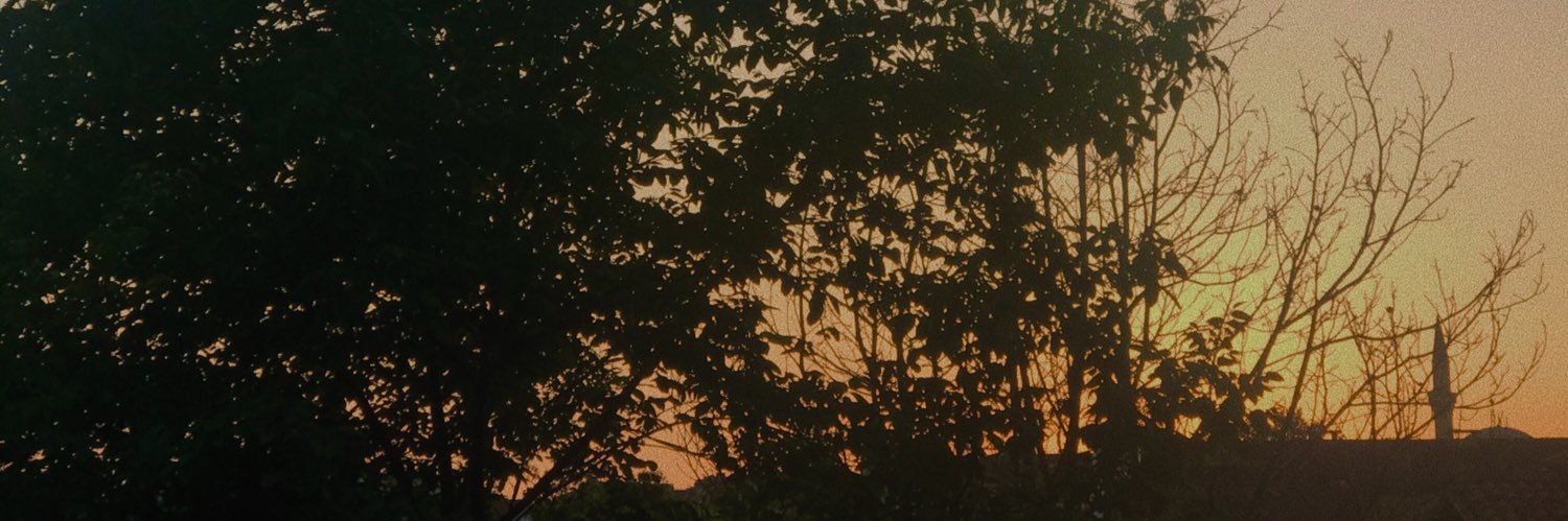 cayykovskii's profile banner image