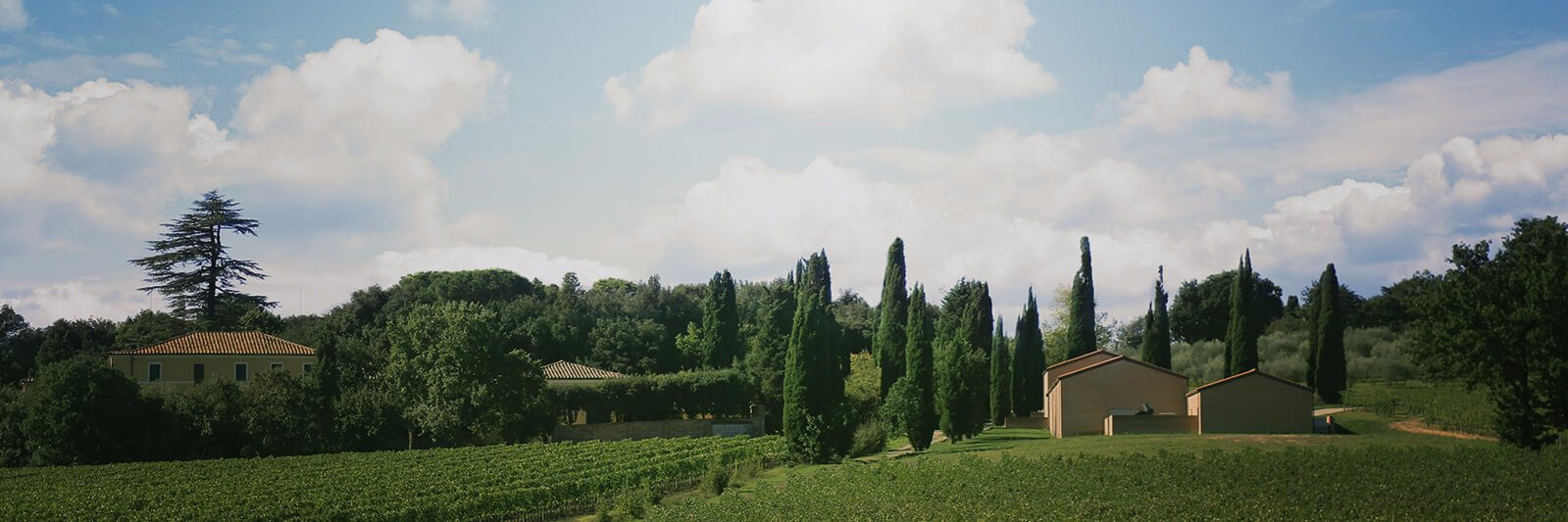 Gracciano della Seta banner