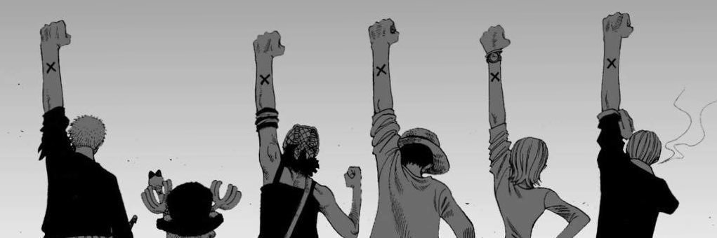 Baroler223's profile banner image