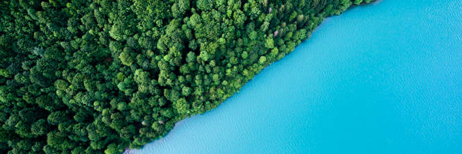 Earth League International banner