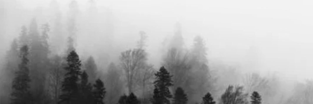 FrancisAddai_'s profile banner image