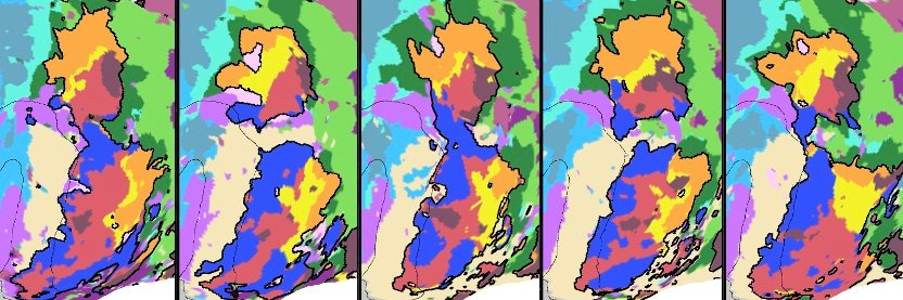 Randy Buckner banner