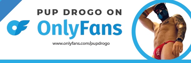 pupdrogo's profile banner image