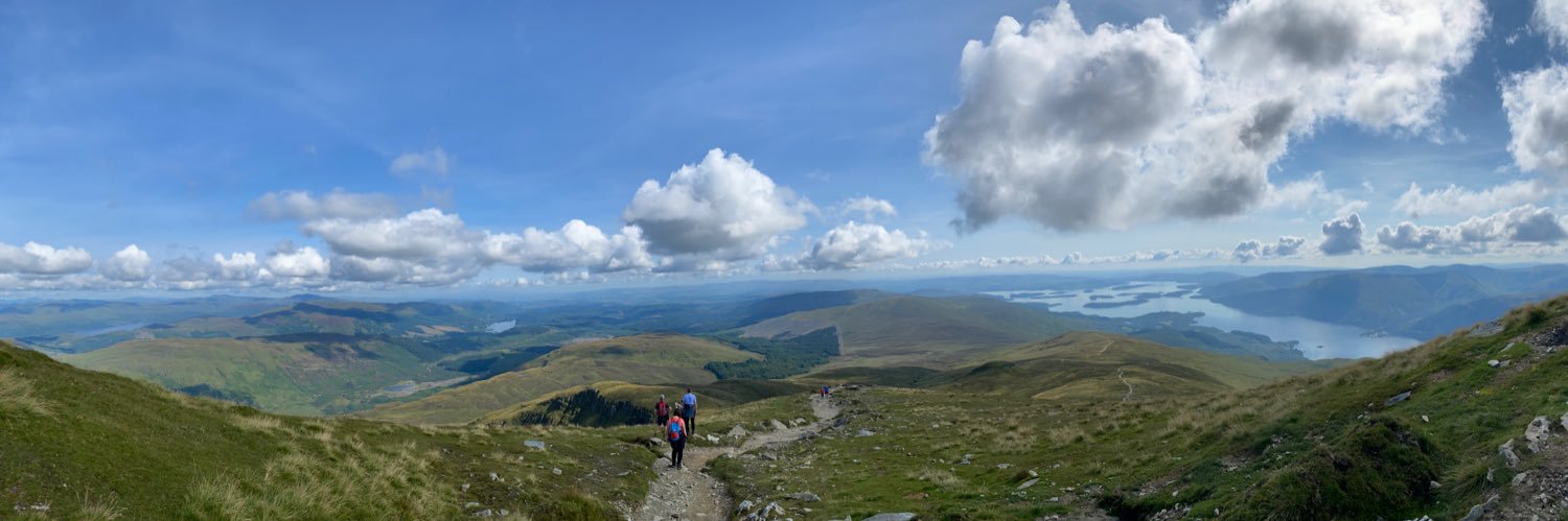 tricia whiteside banner