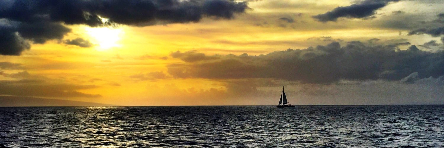 Cat842's profile banner image