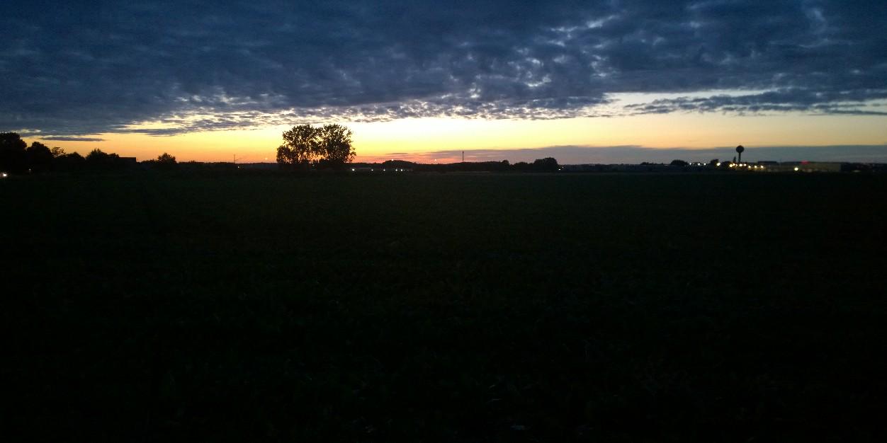 G. P. Bateman banner