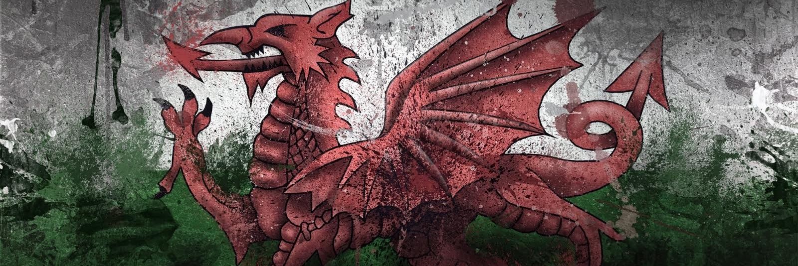 Rhodri Williams banner