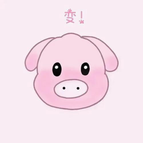 Kopaja23's profile banner image