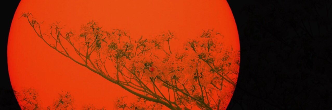 solomon5456's profile banner image