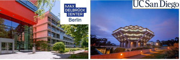 msanderlab Profile Banner