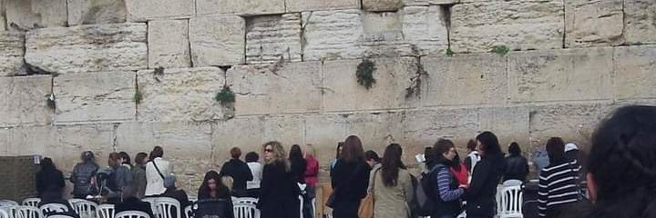 Flores los viernes banner