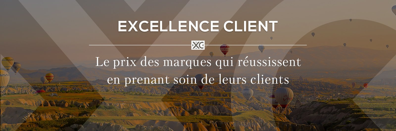 Excellence Client banner