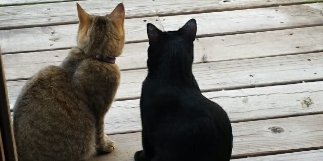 Professor Minerva McGonagall banner