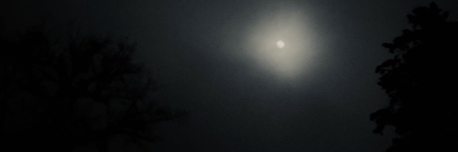 e_lesy7's profile banner image