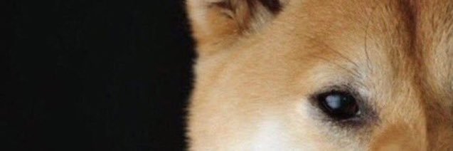 BruhNatRep's profile banner image