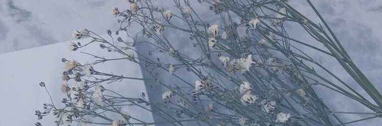 debuchan_desu's profile banner image