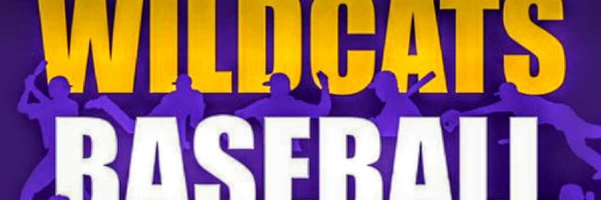 CHS Wildcat Baseball's banner
