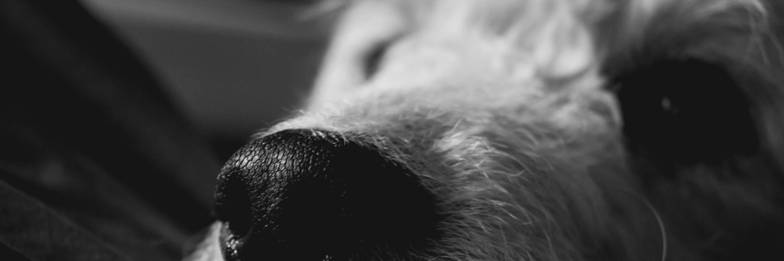 jmfmoran's profile banner image