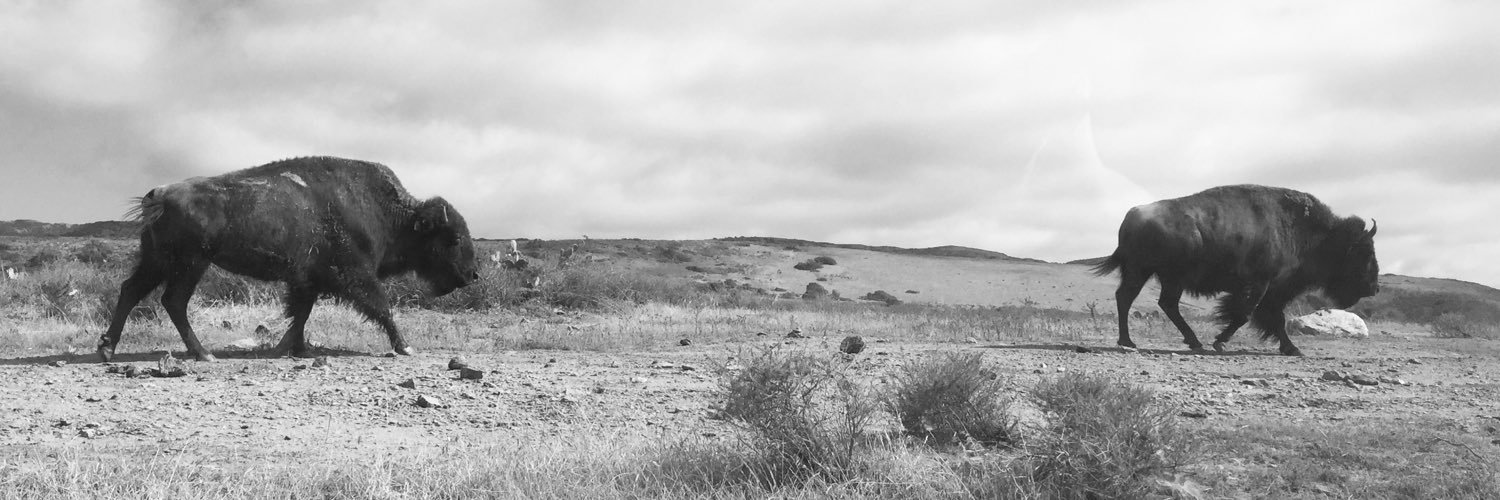 thepants23's profile banner image