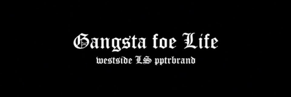 PAPATERA / パパテラ banner