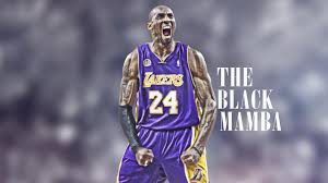 amonteulmer's profile banner image