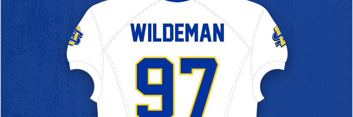 wildefusco's profile banner image