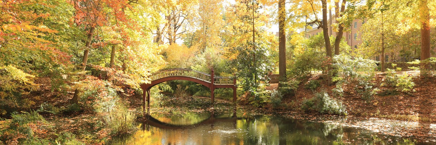 WMInclusiveExcellence banner