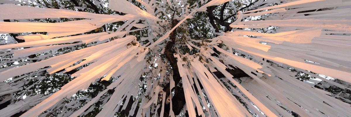 longjaredw's profile banner image