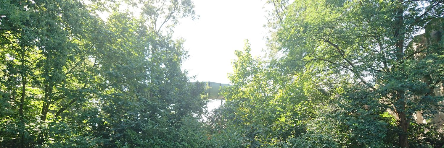 Horstebroodje's profile banner image