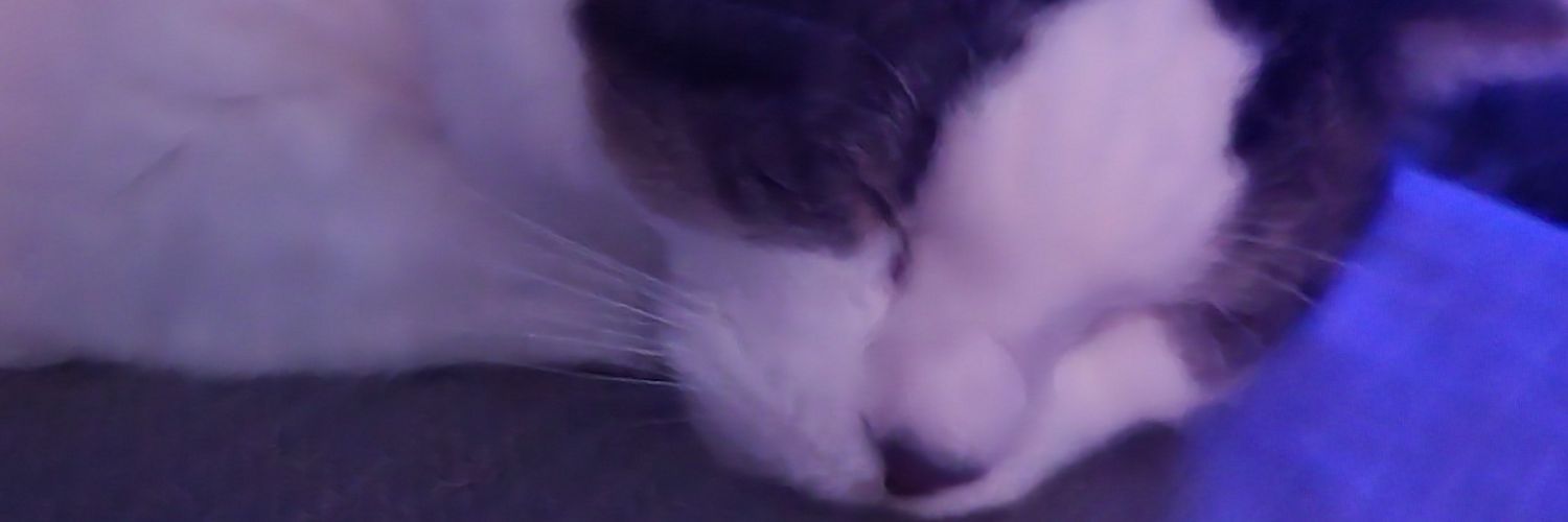 sherri kertzman banner