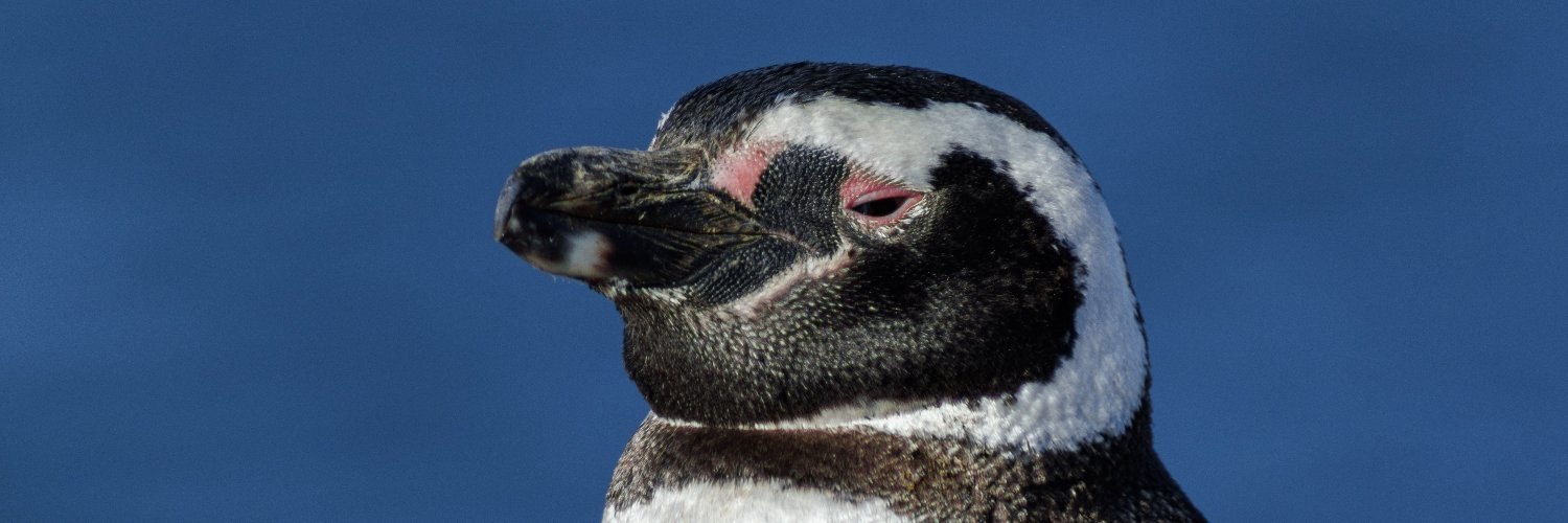 Fernando Barbosa banner