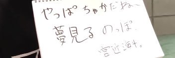 まりも banner