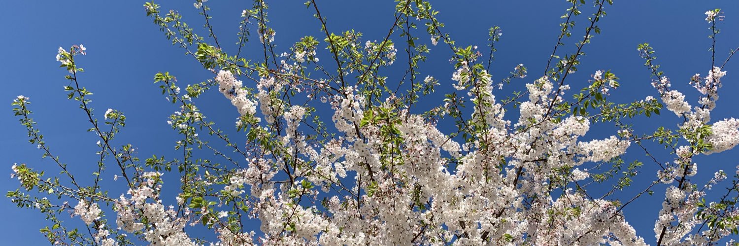 Amanda Moore banner