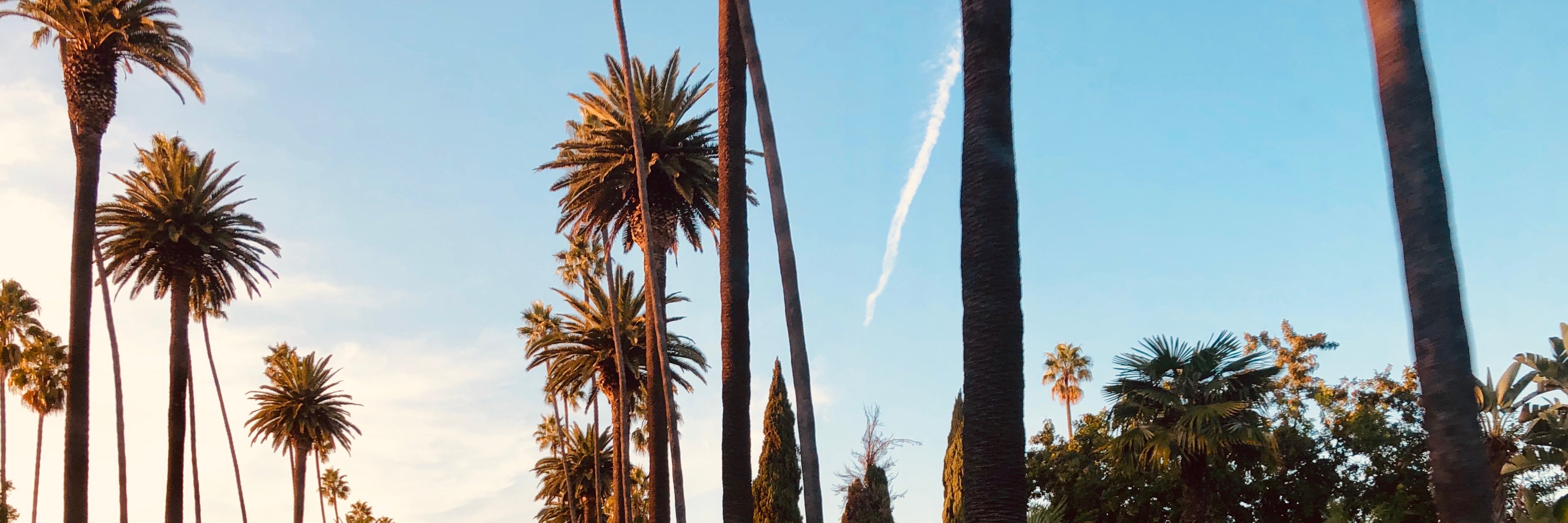 markroemer3's profile banner image