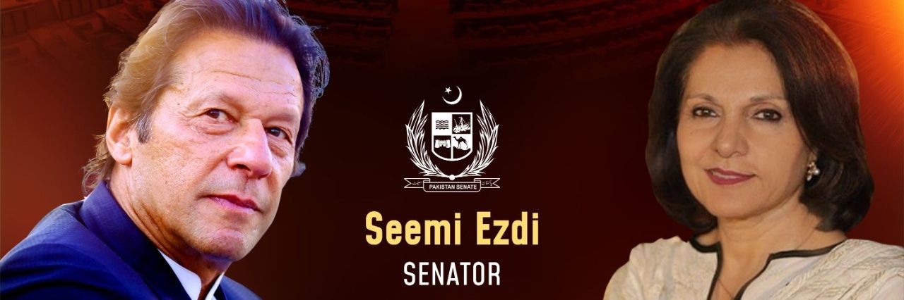 Senator Seemi Ezdi banner