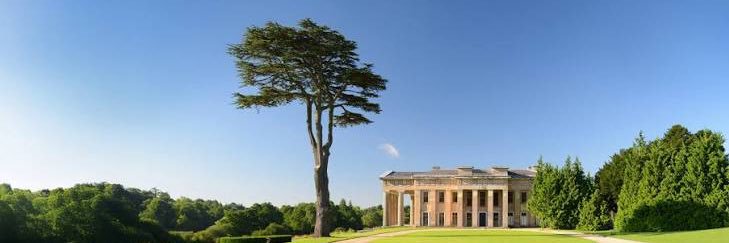 Guy Verrall-Withers banner