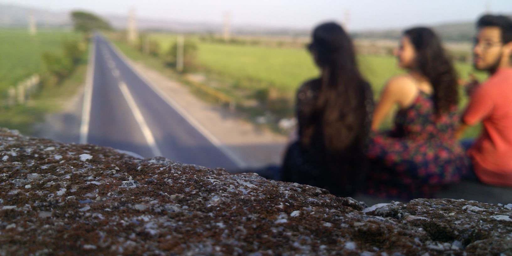 Maria_Arispe's profile banner image