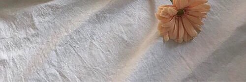 ligN_oO's profile banner image