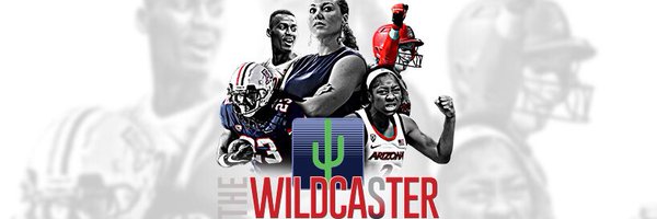 TheWildcaster Profile Banner